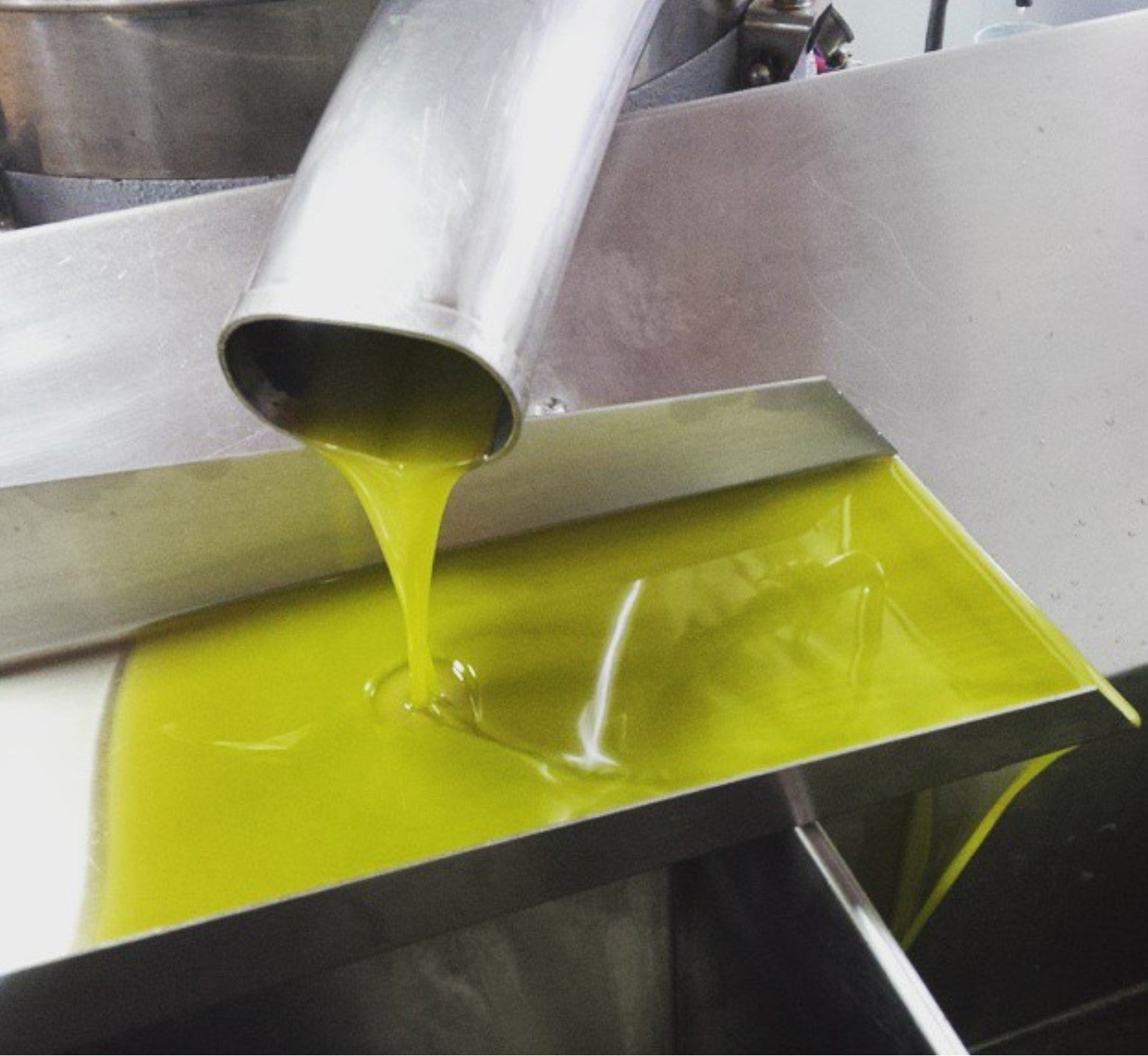 Oro Del Desierto-Coupage Organic Extra Virgin Olive Oil